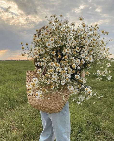 80 Cheerful Spring Aesthetic Pictures » Lady Decluttered Emily + Core + Aesthetic, Sara Core, Emily Core, Sarah Core, Maria Core, Collage Des Photos, Nothing But Flowers, Flowers Aesthetic, Flower Therapy