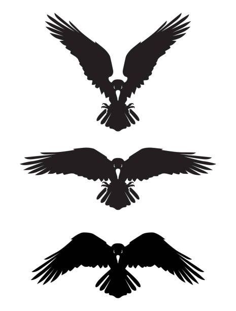 Crow Logo, Rabe Tattoo, Raven Wings, Viking Raven, Dark Evil, Raven Bird, Crow Tattoo, Wings Drawing, Raven Tattoo