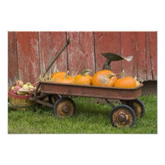 Pumpkin Photo Prints & Photography | Zazzle Fall Wagon Decor, Outside Fall Decor, Old Wagons, Fall Mini Sessions, Pumpkin Photos, Fall Gathering, Fall Arrangements, Red Wagon, Fall Mini