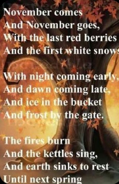 When Autumn turns to Winter Autumn Poems, November Quotes, 13 November, Hello November, Fina Ord, Autumn Quotes, Fabulous Fall, Ice Age, Happy Fall Y'all