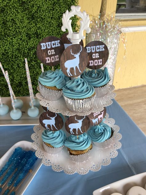 Doe Or Buck Gender Reveal Ideas, Gender Reveal Ideas Hunting, Gender Reveal Ideas Buck Or Doe, Rustic Gender Reveal Ideas, Buck Or Doe Gender Reveal Party Ideas, Deer Gender Reveal Ideas, Buck Or Doe Gender Reveal Ideas, Hunting Gender Reveal Ideas, Gender Reveal Ideas Country