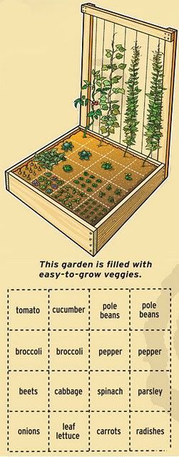 Plantarea Legumelor, Kebun Herbal, Taman Diy, Jardim Diy, نباتات منزلية, Starting A Vegetable Garden, Grow Vegetables, Square Foot Gardening, The Secret Garden