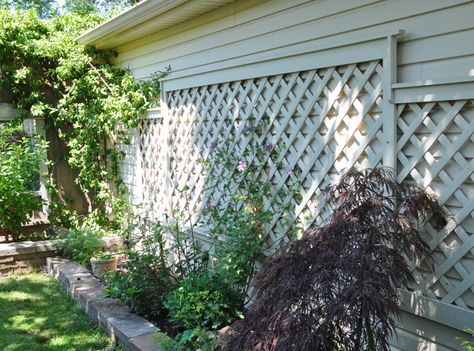 Side Of Garage Garden, Outdoor Garage Wall Decor Ideas, Decorating Side Of Garage, Side Of Garage Decor, Garage Wall In Garden Ideas, Exterior Garage Wall Decor Ideas, Back Of Garage Landscaping, Side Of Garage Decorating Ideas, Garage Side Landscaping