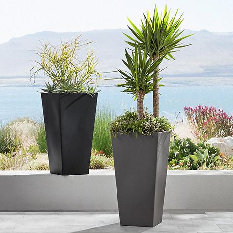 Member's Mark Tall Square Planter - Sam's Club Tall Planters Front Door, Wine Barrel Planter, Front Door Planters, Front Porch Planters, Orchid Seeds, Porch Planters, Large Plant Pots, Black Planters, Garden Flower Beds