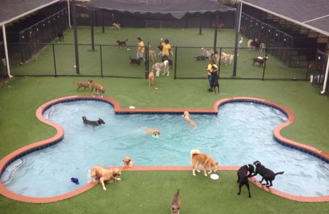 Dog Park Layout, Dog Park Ideas, Doggy Daycare Business, Puppy Daycare, Dog Park Design, Dog Daycare Design, Dog Mansion, Dog Boarding Ideas, Dog Daycare Business