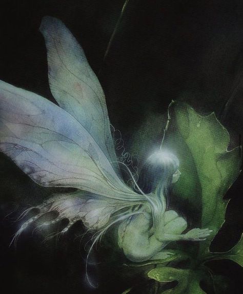 Fairy Grunge Aesthetic, Brian Froud, Dark Fairycore, Grunge Fairycore, Fairy Aesthetic, Dark Fairy, Pretty Stuff, Forest Fairy, Ethereal Art