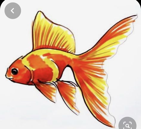 Fish Drawing For Kids, Goldfish Drawing, Gold Fish Painting, Fish Sketch, Sea Drawing, Drawn Fish, Ikan Koi, Drawing Course, Fish Drawings