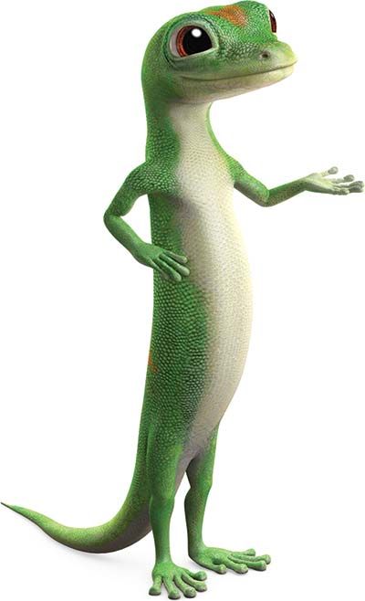 Geico Lizard, Geico Car Insurance, Insurance Quote, Renters Insurance, Auto Insurance Quotes, Pet Insurance, Insurance Agent, Medical Insurance, Insurance Policy