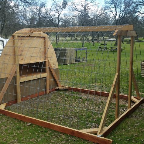 Ms Biddy's Cattle Panel Hoop Coop | BackYard Chickens - Learn How to Raise Chickens Cattle Panel Chicken Coop, Hoop Coop, Cattle Panels, Clean Chicken, Backyard Chicken Coop Plans, How To Raise Chickens, Chicken Tractors, Diy Chicken Coop Plans, Chicken Tractor