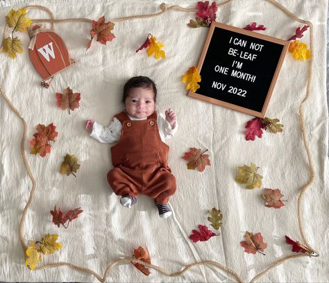 November One Month Baby Picture, 1 Month Old Family Pictures, September One Month Baby Pictures, Fall Milestone Picture Ideas, 8 Month Baby Photoshoot Ideas, September Milestone Picture Ideas, September Monthly Baby Photos, 1st Month Baby Pictures Ideas Boy, Milestone Picture Ideas For Boys