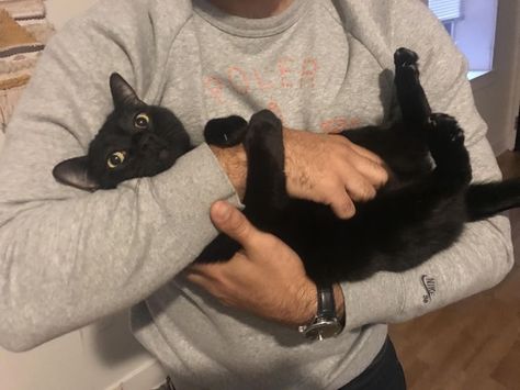 Guy Holding Cat Drawing, Guy Holding Cat, The Roomate, Mind Cleanse, Brain Aesthetic, Love On The Brain, Brain Book, Ali Hazelwood, Book Vibes