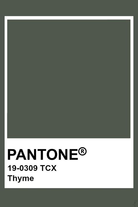 Pantone Thyme Pantone Verde, Pantone Tcx, Pantone Green, Pantone Color Chart, Pantone Swatches, Pantone Palette, Pantone Colour Palettes, Pantone Colors, Color Chip