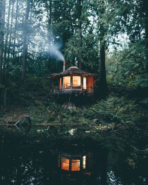 A cabin deep in the woods in Washington Cabin Vibes, Slow Sunday, Cozy Cabins, Forest Cabin, Future Dreams, Beautiful Lighthouse, Cottage Life, Little Cabin, Tree Houses