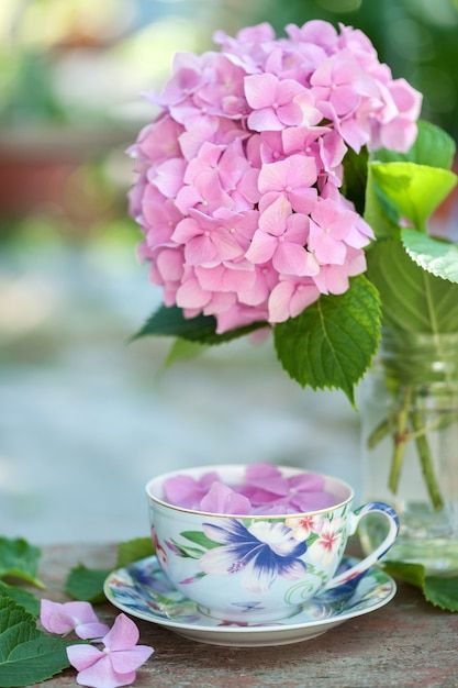 Photo Summer, Summer Backgrounds, Coffee Love, Cup Of Tea, Premium Photo, Hydrangea, Tea Cups, Stock Photos, Tea