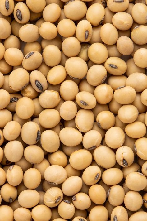 There can be many questions and speculations about soybeans, so we're here to set the record straight about the facts and myths surrounding this particular grain. 🌱   Fact: Soybeans are an allergen for some people  Myth: Soybeans negatively impact reproductive hormones  Fact: Soybeans are high in nutrients.  Myth: Soybeans are dangerous to eat because they can be genetically modified.   Click here to learn details about these myths and facts about soybeans! Firoz Khan, Facts And Myths, Soy Allergy, Savoury French Toast, Ram Navmi, Myths And Facts, Soy Recipes, Sources Of Calcium, Bowtie Pasta