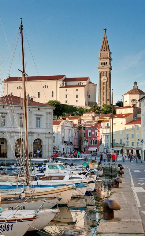 Piran Slovenia, Slovenia Travel, Central Europe, Macedonia, European Travel, Eastern Europe, Oh The Places Youll Go, Armenia, Places Around The World