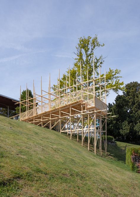 Lakeside Pavilion, Bird Watching Tower, Wooden Pavilion, Architecture Structure, Temporary Architecture, Timber Architecture, Pavilion Architecture, Shelter Design, Timber Frame Construction