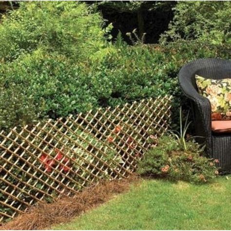 MGP 4-Piece Carbonized Skinless Willow Wood Expanding Trellis | Wayfair Expanding Trellis, Vinyl Lattice Panels, Borders Garden, Tomato Trellis, Trellis Fence Panels, Trellis Fence, Arch Trellis, Climbing Flowers, Living Fence