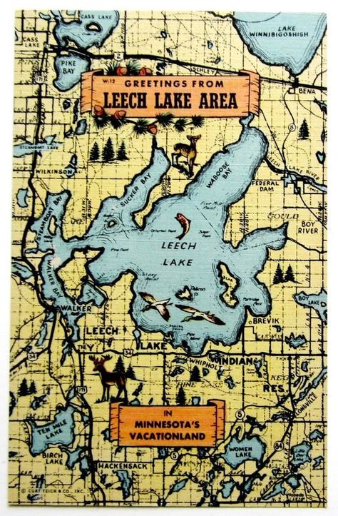 Minnesota Nice, Minnesota Travel, Minnesota Home, Northern Minnesota, Grey Art, Catching Fish, Postcards For Sale, Detailed Map, Book Projects