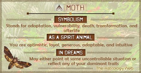 Moth Meaning and Symbolism | The Astrology Web Moth Meaning, Moth Symbolism, Moth Tattoo Meaning, Hashtag Quotes, Animal Totem Spirit Guides, Types Of Moths, Spirit Animal Meaning, Totem Animals, Animal Meanings