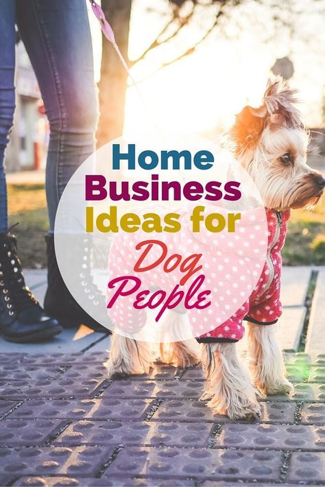 Turn your love of dogs into a lucrative canine career -- check out these home business ideas for dog people. Home Business Ideas, Dog Business, Dog Grooming Business, Pet Businesses, Wellness Business, Dog Boutique, Dog People, Dog Daycare, Home Based Business