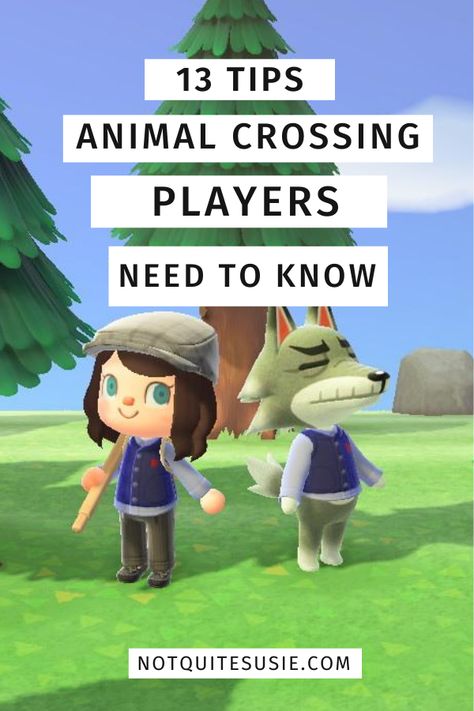 Animal Crossing Starting Tips, Animal Crossing Ideas For Beginners, Acnh Tips For Beginners, Themes For Animal Crossing Island, Small Animal Crossing Builds, Beginner Acnh Ideas, Animal Crossing Cheat Codes, Animal Crossing Beginner Island, How To Play Animal Crossing