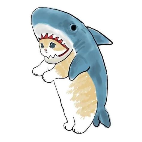 A cat-shark - cute post - Imgur Cat Shark, 심플한 그림, Shark Drawing, Kitten Drawing, Shark Art, Cute Cat Drawing, Kitty Drawing, Cute Shark, Kunst Inspiration