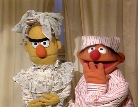 Oh Bert and Ernie! Epi Y Blas, Beto Y Enrique, Muppet Family Christmas, Ernie Und Bert, Sesame Street Muppets, Bert & Ernie, Unanswered Questions, Silly Puppets, Sesame Street Characters