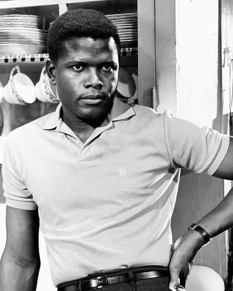 Sidney Poitier, 1960. - 9GAG Sidney Poitier, Don Pedro, Black Actors, Black Hollywood, Black Person, Actrices Hollywood, Hollywood Actor, Movie Photo, Classic Films