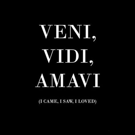 I Came I Saw I Loved Latin Tattoo, Veni Vidi Amavi, Latin Quotes, Latin Phrases, Under Your Spell, Aesthetic Words, Dragon Age, Shadowhunters, Pretty Words