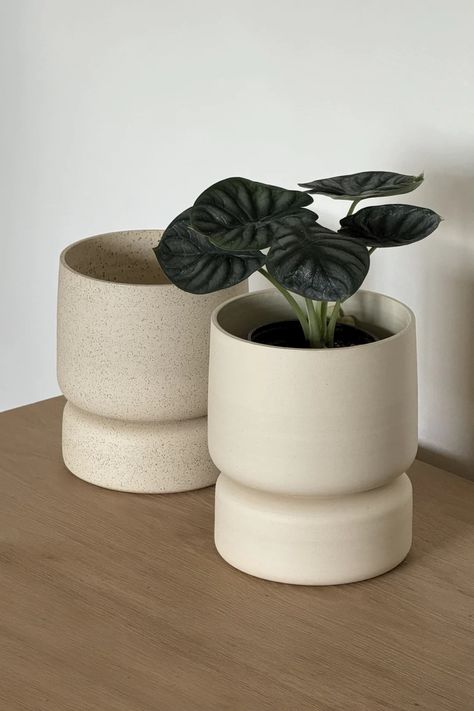 CREAM PEDESTAL PLANTER BY KLEI CERAMICS – INK + PORCELAIN High Desert Landscaping, Pedestal Planter, Space House, Tiered Planter, A Modern House, Handmade Ceramic Planters, Handmade Planter, Pottery Pot, Interior Design Elements