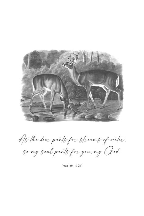 Psalm 42 1, As The Deer, Poster Christian, Verse Poster, Psalm 42, Modern Christian Art, Christian Art Print, Deer Pictures, Bible Verse Posters