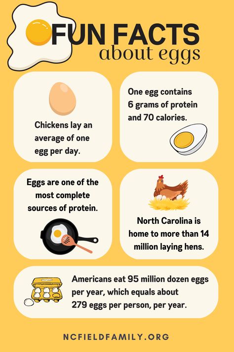 Whether you’re dyeing them for Easter or enjoying them scrambled, deviled or fried, eggs are a springtime staple. Eggs are so popular, in fact, that the average American consumes 290 of them per year. Check out a few more fun facts about the incredible, edible egg. National Egg Day, Agriculture Facts, Egg Facts, Farm Facts, Egg Nutrition Facts, Fun Facts For Kids, Healthy Living Motivation, Food Health Benefits, Duck Eggs