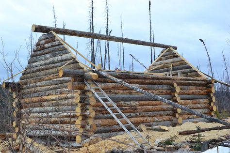 Log Cabin Construction, Log Cabin Build, Building Log Cabin, Log Cabin Building, Skills Everyone Should Know, Trappers Cabin, Log Building, Diy Log Cabin, Cabin Building