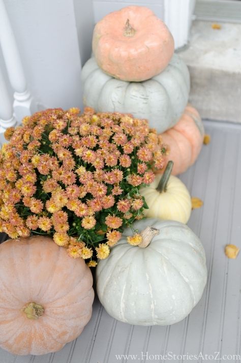 Porch decor Pumkin Decoration, Planting Pumpkins, Cinderella Pumpkin, Fall Front Porch Decor, Fall Front Porch, Fall Inspiration, Fall Decorations Porch, Fall Front, Fall Halloween Decor