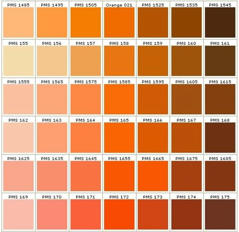 pantone colors in orange Orange Color Pantone, Pantone Orange, Sky Game, Pantone Color Chart, Interior Paint Colors Schemes, Pantone Palette, Bedroom Colour Palette, Orange Color Palettes, Paint Color Schemes