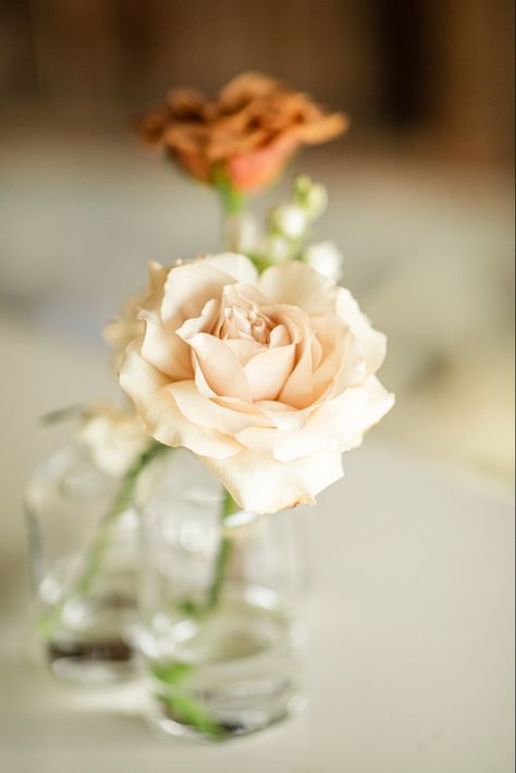 Reflexed Roses Wedding, Single Rose In Vase, Reflexed Roses, Champagne Centerpiece, Bud Vases Arrangements, 26 Birthday, Bud Vase Centerpiece, Shoal Bay, Terracotta Wedding