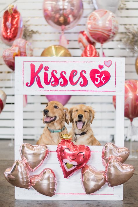 💘the puppy kissing booth is now open!💘 get everything you need to create this at home yourself! Oktoberfest Fancy Dress, Booth Diy, Valentine Backdrop, Puppy Valentines, Valentine Photo Shoot, Dog Kisses, Valentines Day Dog, Book Week Costume, Party Costumes