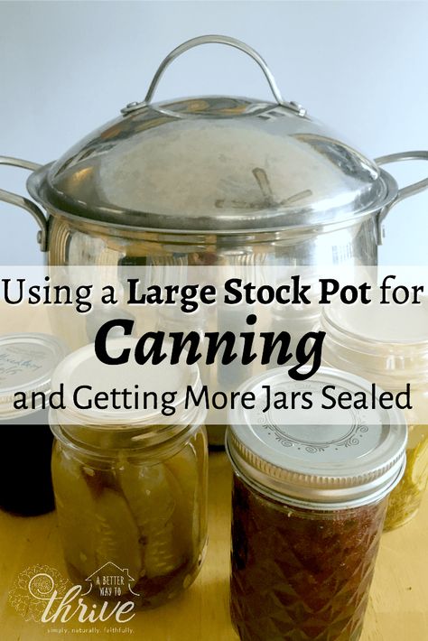 Diy Water Bath Canner, Canning Methods, Canning Jelly, Canning Water, Storing Food Long Term, Canning Jar Storage, Hot Water Bath Canning, Diy Canning, Easy Canning