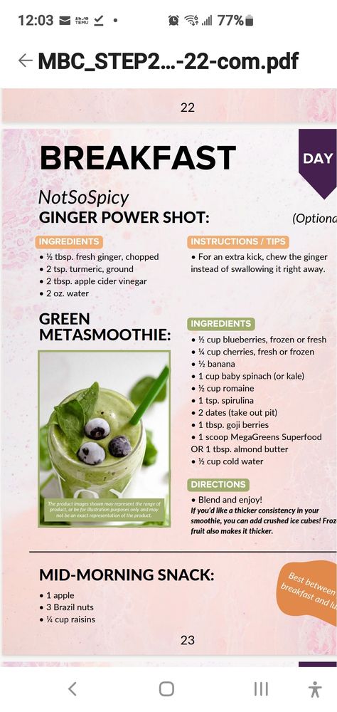 Metabolic Flush Svelte, Metaboost Connection, Meta Boost, Fat Flush Recipes, Metabolic Recipes, Metabolism Reset, Belly Blaster, Metabolism Reset Diet, Meredith Shirk