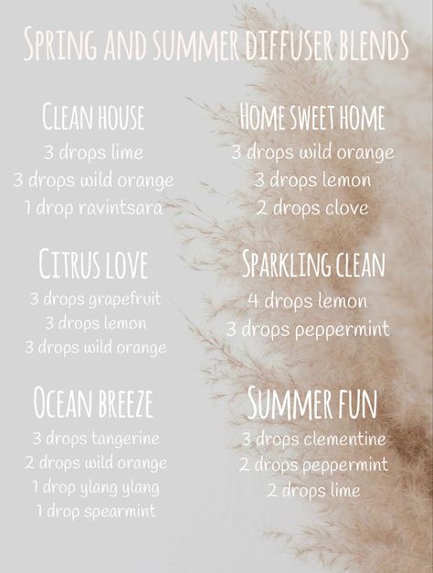 Deodorizer Diffuser Blend, Fresh House Diffuser Blends, Clean Linen Diffuser Blend, Doterra Clean House Diffuser Blends, Fresh And Clean Diffuser Blends, Spring Diffuser Blends Young Living, August Diffuser Blends, Clean Home Diffuser Blend, Clean Diffuser Blends