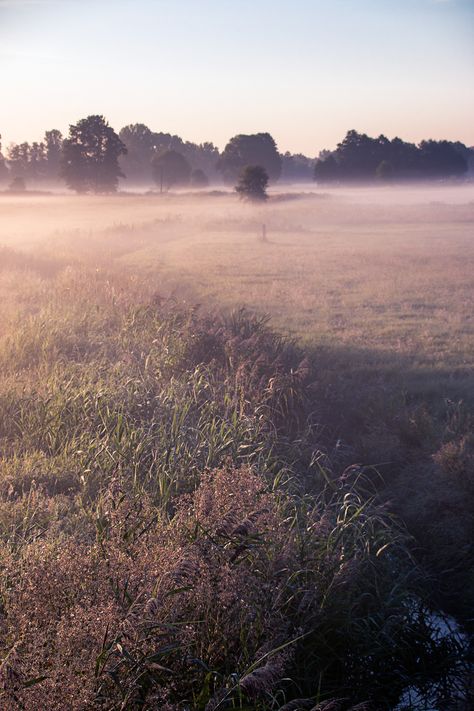 MORNING FOG I on Behance Early Fall Aesthetic Wallpaper, Morning Fog Aesthetic, Soft Morning Aesthetic, Morning Core, Fog Aesthetic, Cottage Core Garden, Fog Landscape, Foggy Weather, Pastel Lavender