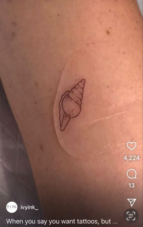 Dainty Sea Shell Tattoo, Fine Lime Flower Tattoo, Mini Sea Shell Tattoo, Conch Shell Tattoo Small, Tiny Conch Shell Tattoo, Shell Outline Tattoo, Whelk Shell Tattoo, Dainty Seashell Tattoo, Sea Shell Tattoo Small Simple