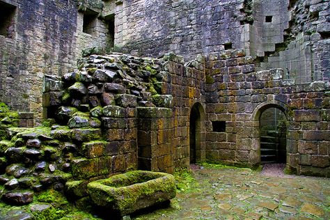 Hermitage Castle Interior by Dave Cleghorn, via Flickr--adding it for the moss covered stone mostly... Dumbarton Castle, Medieval Environment, Hermitage Castle, Global Architecture, Ross Castle, Castle Interior, Fantasy Au, Environment Reference, Beautiful Scotland