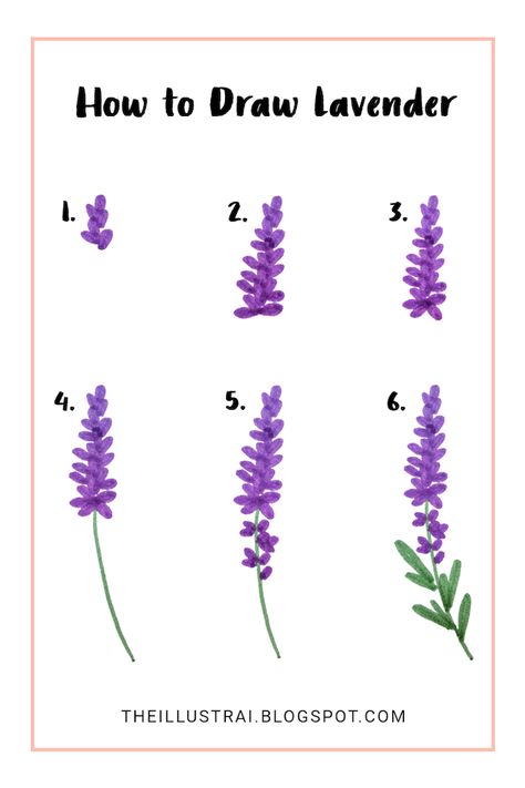 how-to-draw-lavender-rose-drawing-step-by-step-white-background Flowers Drawing Easy Step By Step, Lavender Sketch Drawings, Easy Flower Sketches Step By Step, Easy Plant Sketches, How To Paint Wildflowers Easy, Drawing Plants Easy, Draw Lavender Step By Step, Plant Drawing Step By Step, How To Draw Lavender