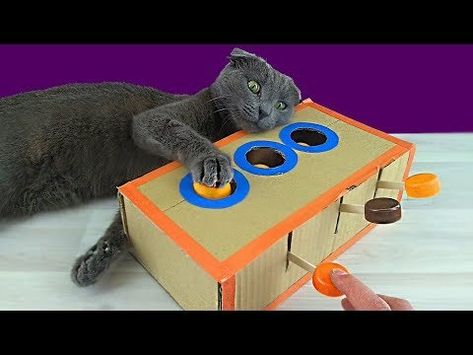 16 DIY Cardboard Cat Toys You Can Make at Home (With Pictures) - Catster Diy Cat Toys Kittens, Cardboard Cat Toys, Cat Toy Diy, Diy Jouet Pour Chat, Diy Cat Toys Easy, Cat Diy Crafts, Princess Paris, Chat Diy, Cardboard Cat House