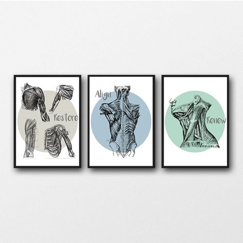 Nutrition Student, Anatomy Posters, Modern Minimal Style, Clinic Art, Medical Artwork, Massage Room Decor, Massage Therapy Rooms, Anatomy Images, Relax Massage