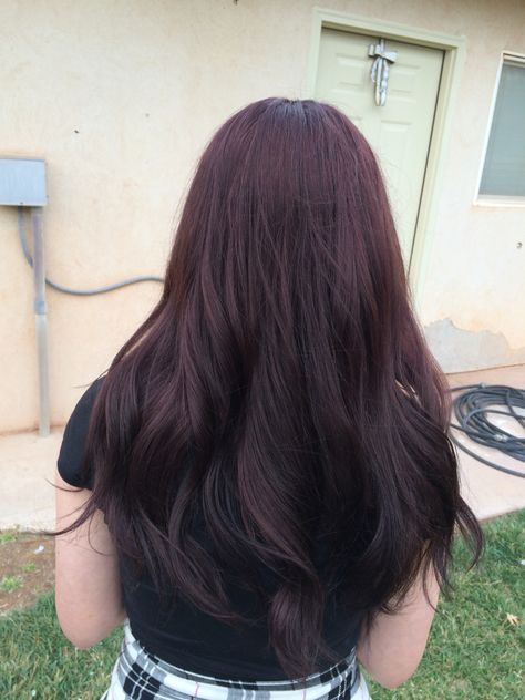 Berry Black Hair, Subtle Purple Hair Highlights, Black Burgundy Hair Color, Dark Plum Brown Hair Color, Dark Color Hair Ideas Brunettes, Red Brown Hair Color Asian, Tinted Dark Hair, Dark Brown Plum Hair, Black Cherry Hair Color Short