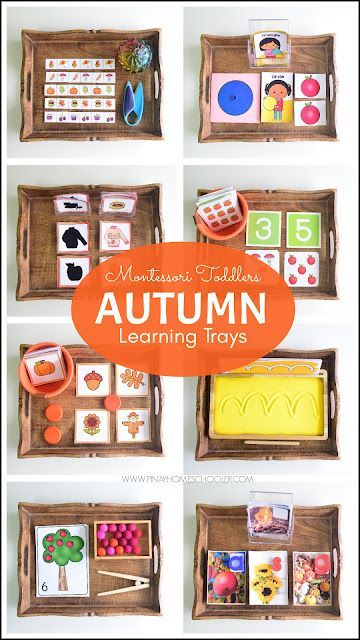 Montessori Autumn Toddler Learning Tray Ideas Montessori Trays Preschool, Mini Pumpkin Activities Preschool, Montessori Tray Activities, Harvest Montessori Activities, September Montessori Shelves, Fall Toddler Montessori Activities, Montessori Activities Elementary, Montessori Fall Activities Preschool, Montessori November Ideas