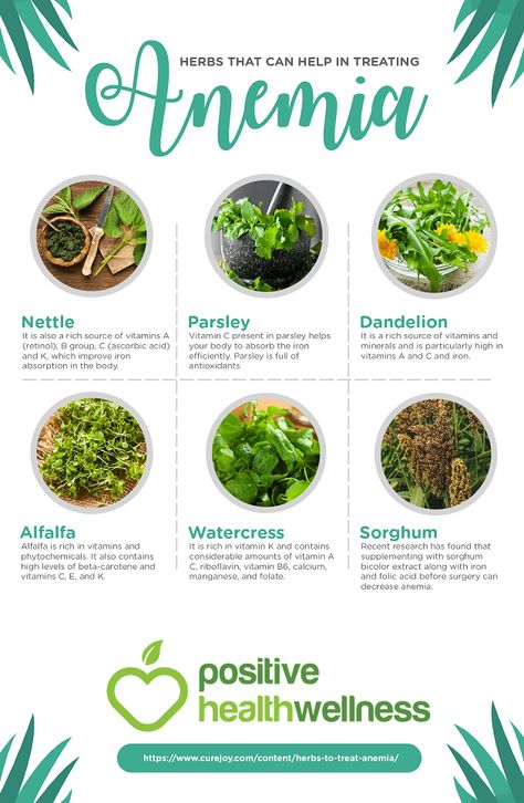 Vit B12 Rich Foods, Iron Deficiency Remedies, Wellness Infographic, Iron Diet, Nutrition Infographic, Gingko Biloba, Foods With Iron, St John's Wort, Foods High In Iron